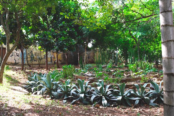 Jardim dentro do Bosque dos Pássaros, um dos lugares mais visitados do Setor Sul