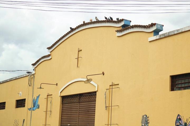 Agenda do fim de semana em Goiânia tem samba, feijoada e forró