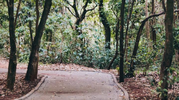 3 dicas para lidar melhor com o isolamento social na quarentena