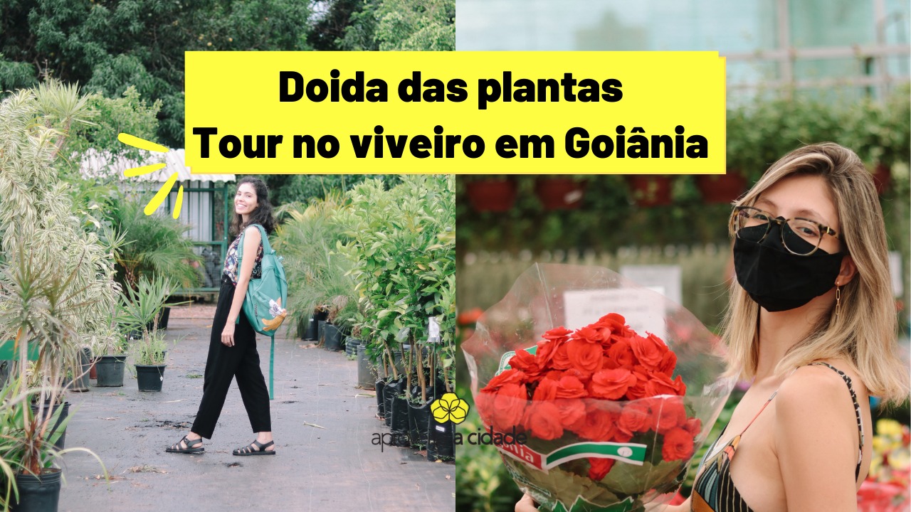 Vlog no viveiro em Goiânia! O que tem na floricultura e como cuidar melhor das plantas