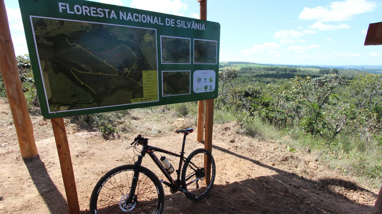 Floresta Nacional de Silvânia: um santuário de preservação do Cerrado