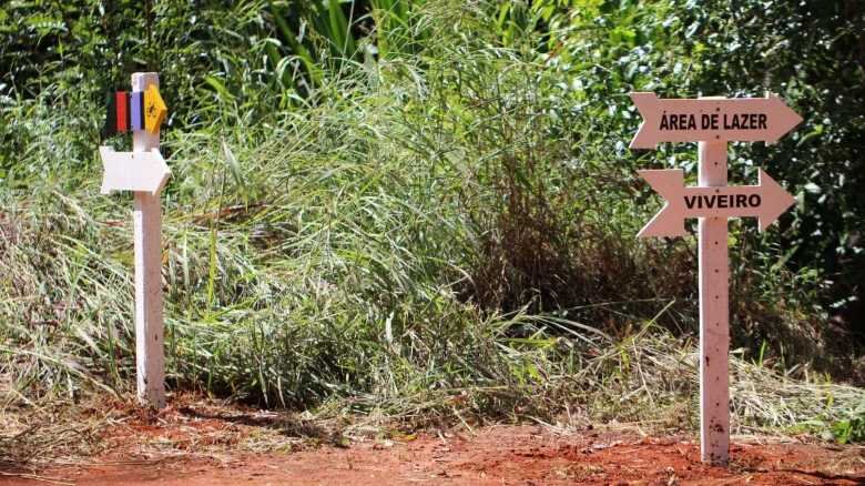 Floresta Nacional de Silvânia: um santuário de preservação do Cerrado