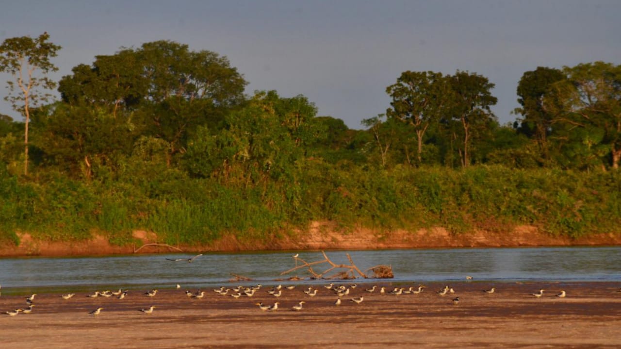 Governo de Goiás cancela temporada do Rio Araguaia em 2021