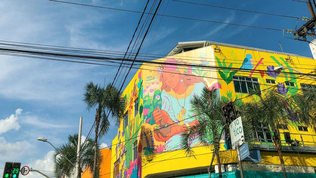3 novos murais para você visitar e conhecer em Goiânia