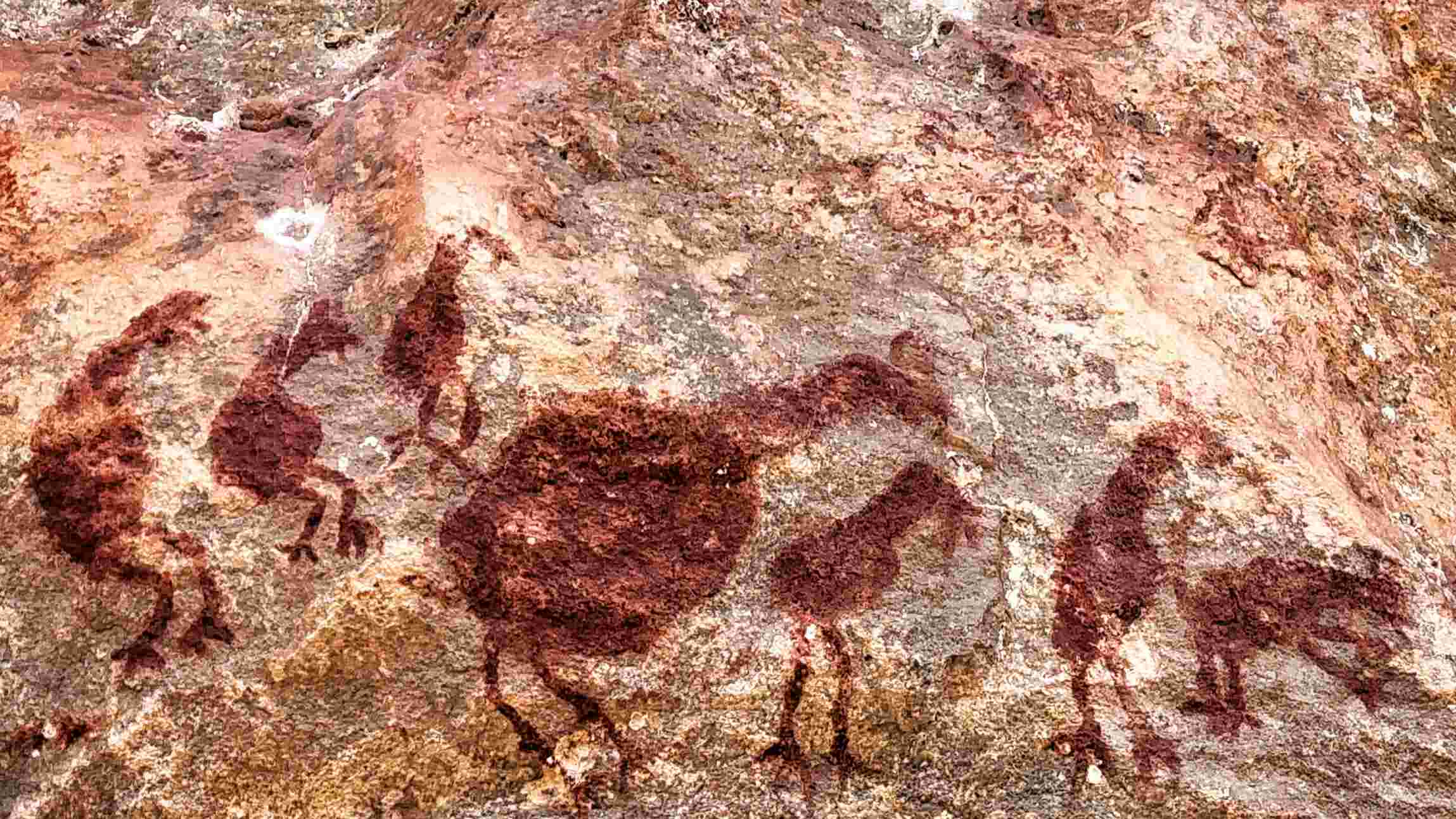 Goiás 11 mil anos: mostra no Iphan retratra primeiros povos do estado