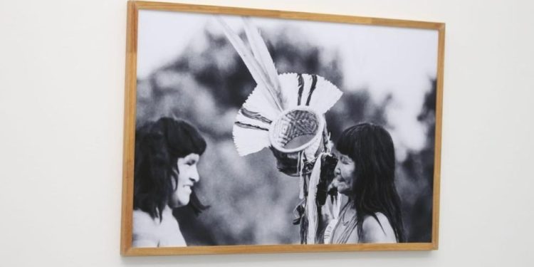 Unidades culturais do Estado em Goiânia têm 5 exposições abertas