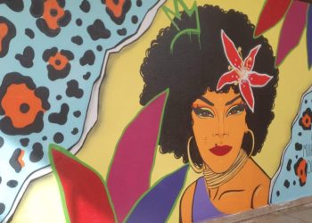 Vila Cultural Cora Coralina ganha mural que homenageia Elza Soares