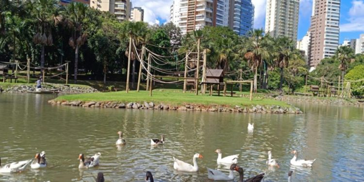 Zoológico de Goiânia é fechado após adotar medida preventiva