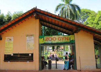 Zoológico de Goiânia promove programação especial com foco na preservação de animais