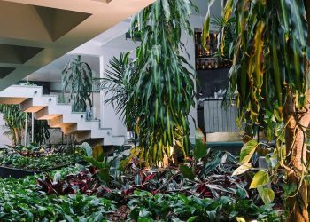 Íz Hotel Conceito: um hotel boutique no interior do restaurante mais premiado de Goiânia