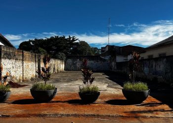 Comurg instala barreira vegetal em área do césio-137 para impedir uso irregular