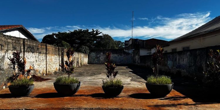 Comurg instala barreira vegetal em área do césio-137 para impedir uso irregular