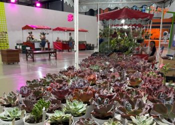 Bazar Estação das Plantas realiza edição de Dia das Mães