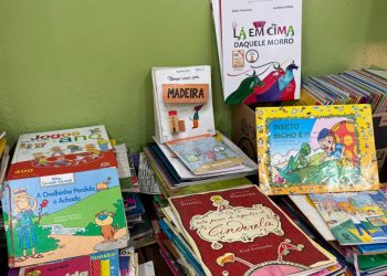 Biblioteca Municipal Cora Coralina, em Campinas, tem Espaço Kids gratuito