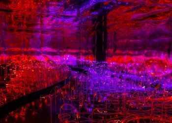 São Paulo recebe exposição imersiva inspirada em Alice no País das Maravilhas
