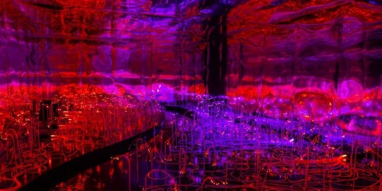 São Paulo recebe exposição imersiva inspirada em Alice no País das Maravilhas