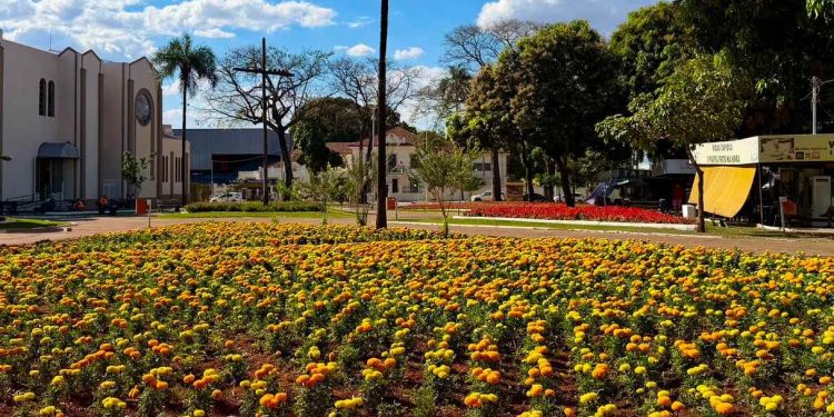 Comurg adota plano específico para manter canteiros floridos durante estiagem