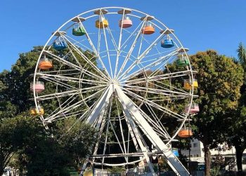 Parque Mutirama: Dia das Crianças terá programação gratuita durante 3 dias em Goiânia