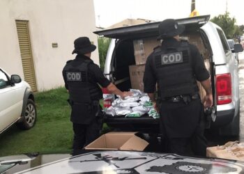 Apreendida em Goiânia carga de R$ 1 milhão em agrotóxicos contrabandeados