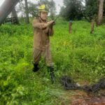 Bombeiros resgatam bovino que caiu em cisterna, em São Miguel
