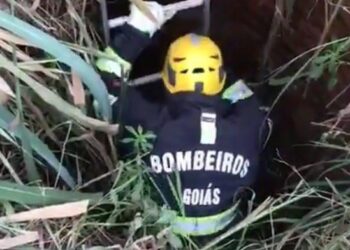 Cachorro some e é encontrado depois de três dias em buraco, em Caldas Novas