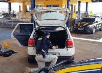 Casal é pego com 50 quilos de maconha em fundo falso de carro, em Anápolis