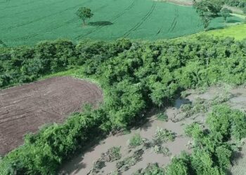 Dono de fazenda, em Pontalina, pode ser multado em R$ 90 mil