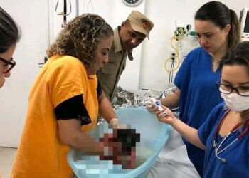 Menor que jogou bebê pelo muro da casa não sabia de gravidez, conclui PC