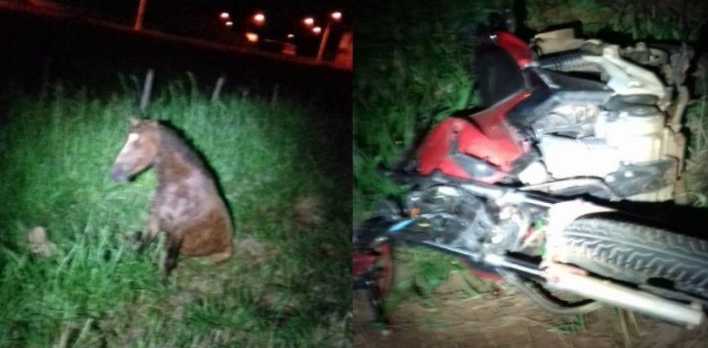 Motociclista morre após atropelar cavalo solto na pista, em Itaberaí