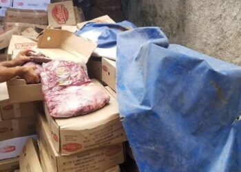 Polícia apreende carne bovina roubada avaliada em R$ 300 mil, no DF