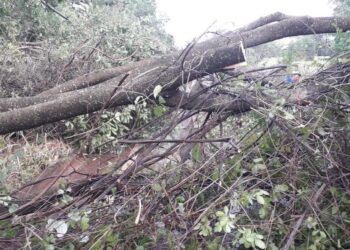 Quatro pessoas ficam feridas durante temporal em Pirenópolis