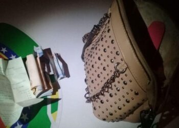 Suspeito de roubo é preso ao tentar se esconder em vaso de planta, em Goiânia 