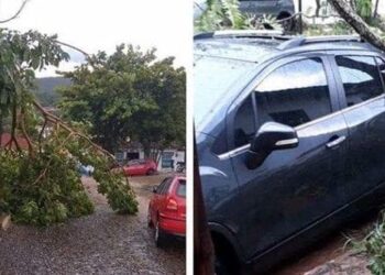 Tempestade causa estragos e assusta moradores de Pirenópolis 