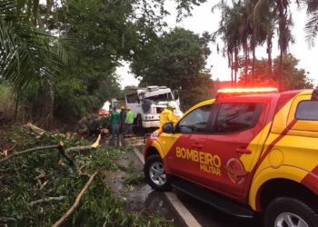 Com fortes chuvas, árvore cai em cima de caminhão na GO-080