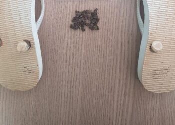 Jovem é flagrada com drogas em tiras de chinelo no presídio de Formosa