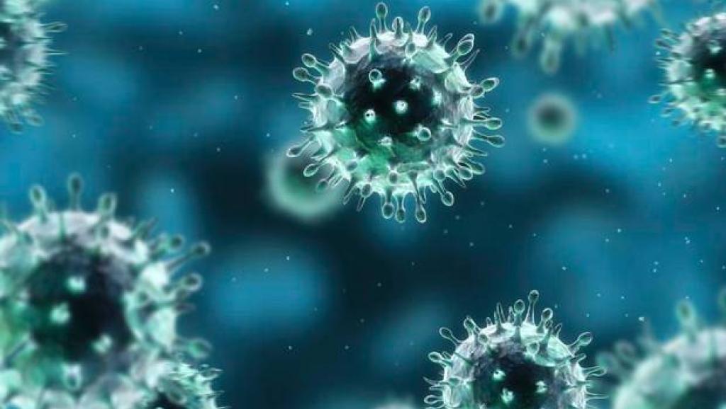 Novo coronavírus já infectou mais de 80 mil pessoas em todo o mundo
