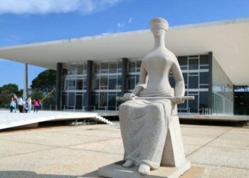 Rede pede suspensão de decreto que exclui sociedade de conselho de meio ambiente