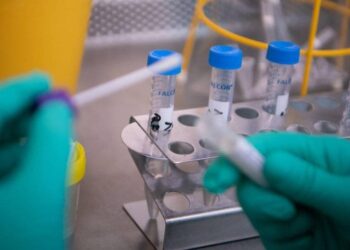 Anvisa dá aval a 8 testes rápidos; uso em massa é rejeitado