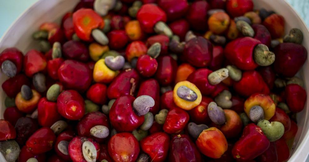 frutas do Cerrado