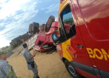 Idoso fica ferido ao tombar carreta com soja na GO-060, em Trindade