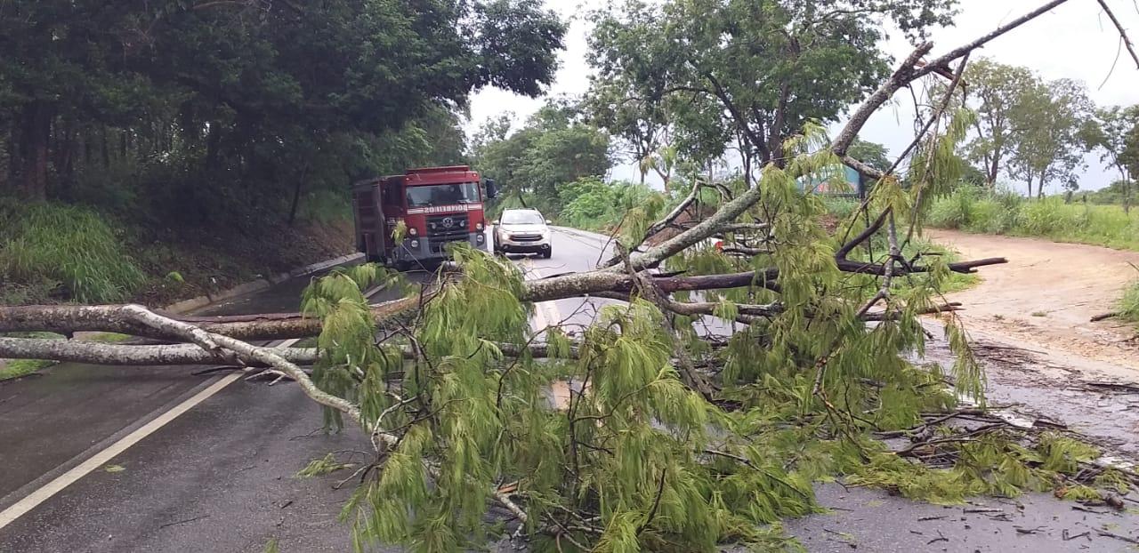 Tempo em Goiás: Imnet alerta para tempestades neste fim de semana