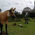 Chapadão do Céu Goiás