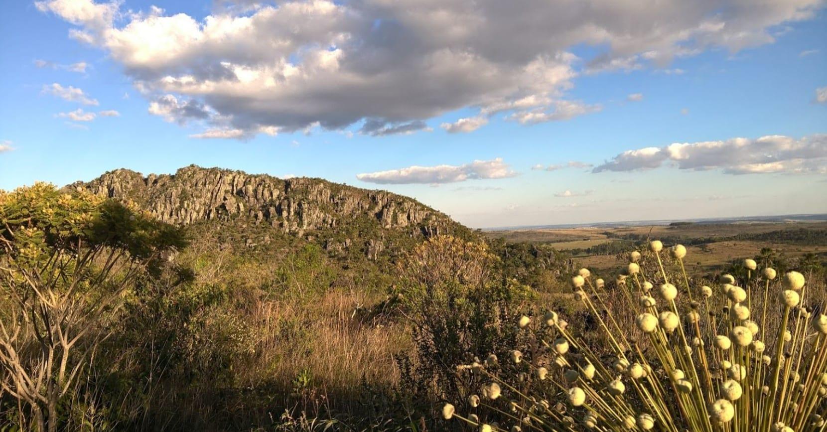 Cocalzinho de Goiás