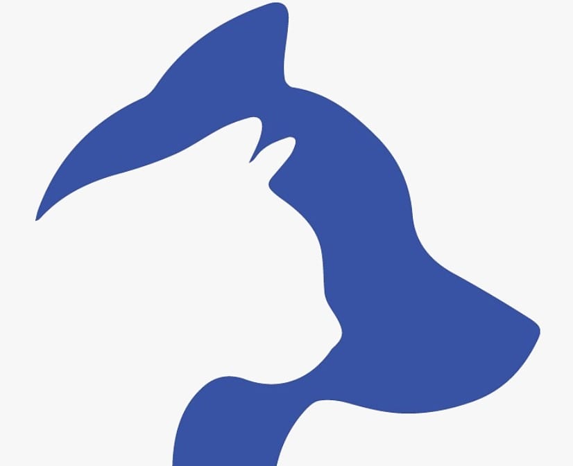 ONGs de animais Goiânia