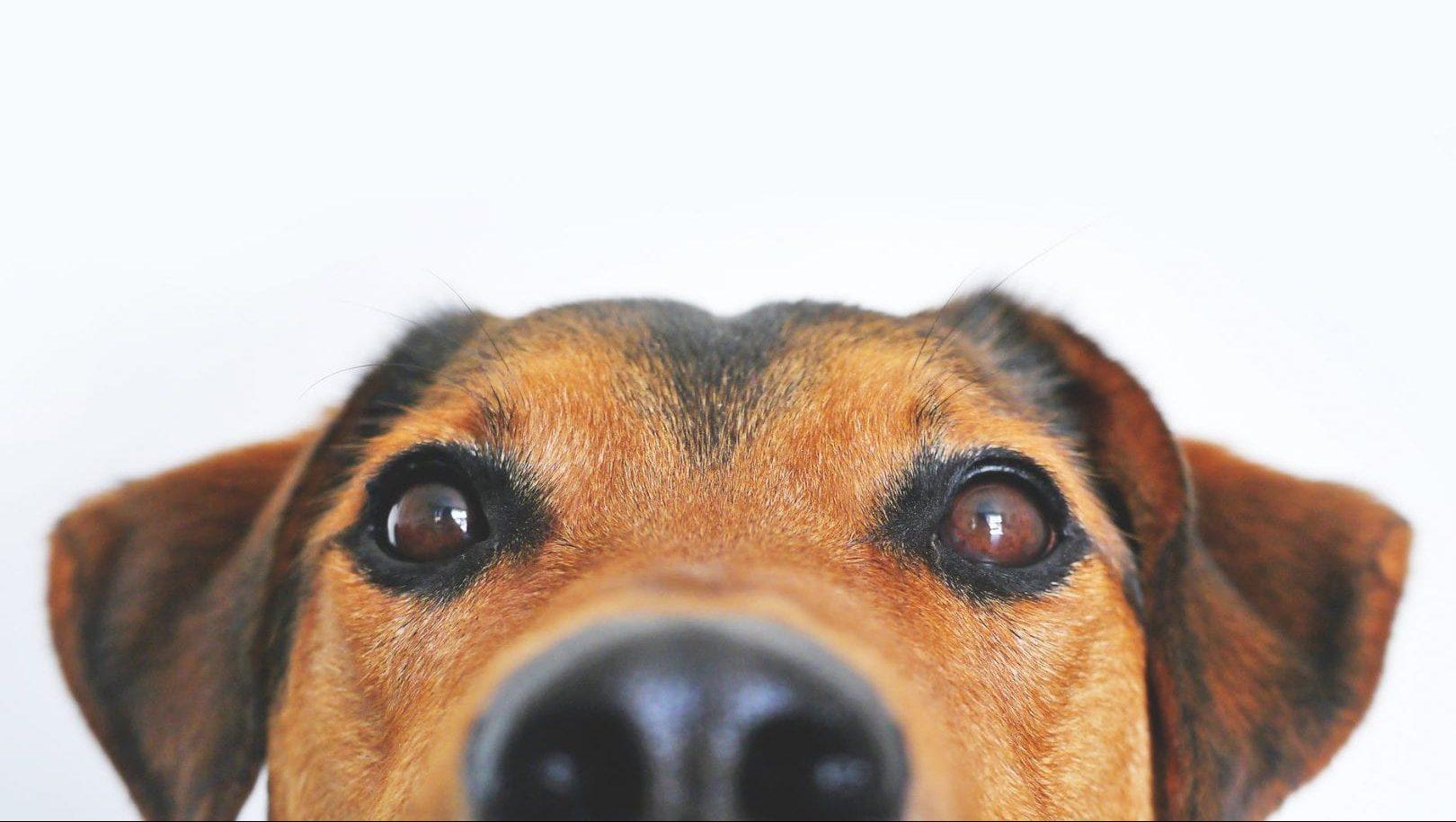 Foto: Pexels