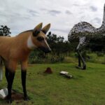 Parque Nacional das Emas