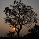 Parque Nacional das Emas