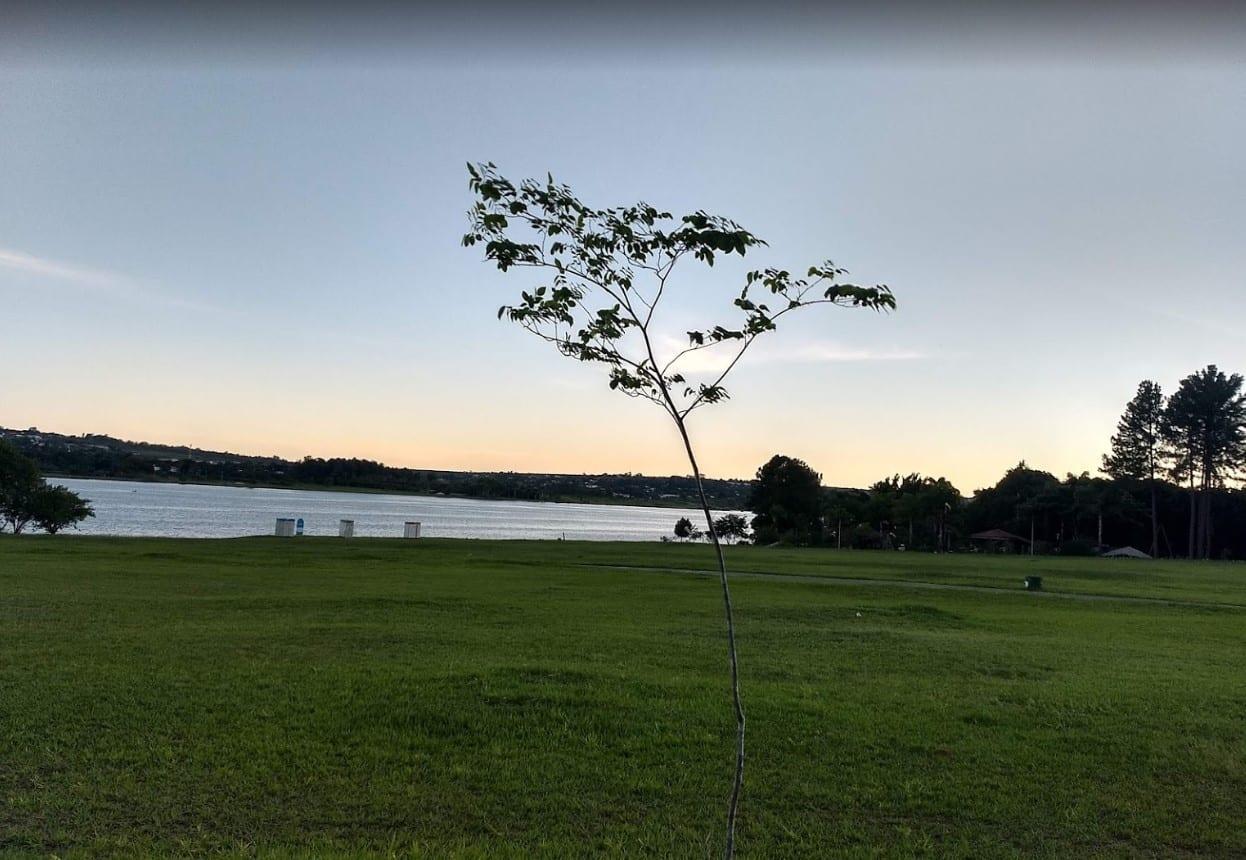 parques em Brasília