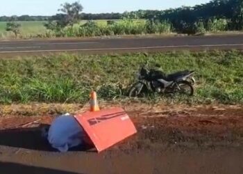 Pedreiro morre ao buscar socorro após ser picado por abelhas, em Acreúna