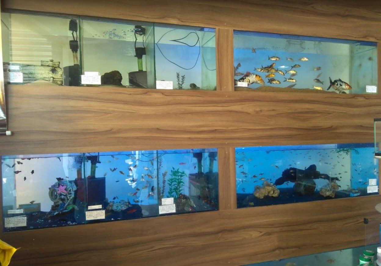 pet shop Aparecida de Goiânia